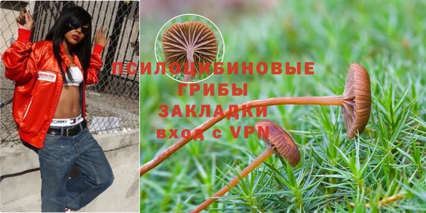 эйфоретик Белокуриха