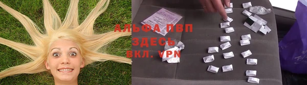 эйфоретик Белокуриха